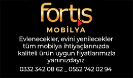 Fortis Reklam1 